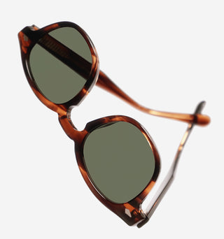 GOLDILOCKS - Tortoise